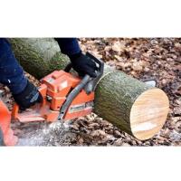 Southern Maryland Fellers Tree Service image 1